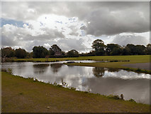 SJ8680 : Pond at the side of Prestbury Road by David Dixon