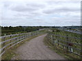 Track to Roman Road cyclepath