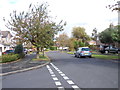 Birkdale Drive - viewed from Sunningdale Drive