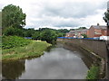 Wansbeck River, Morpeth