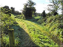 H7221 : Drumgrole Townland by Kenneth  Allen