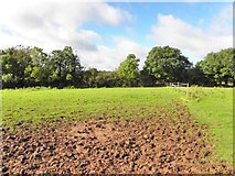 H7721 : A muddy field, Garradevlin by Kenneth  Allen