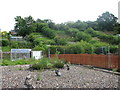 Garden allotments, Morpeth