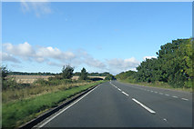 SE9740 : York  Road  the  A1079  west  of  Bishop  Burton by Martin Dawes
