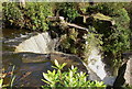 The upstream edge of the Penllergare waterfall