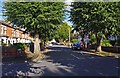 Shrubbery Avenue near its junction with Flag Meadow Walk, Worcester