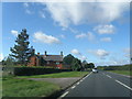 Ivy  House  Farm  on  A1079  west  of  Kexby