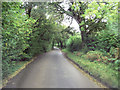 Steplake Lane runs through Sack Copse