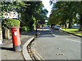 North Common Road with leaning Victoriana