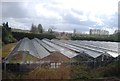 Greenhouses by the railway line