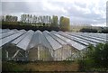Greenhouses by the railway line