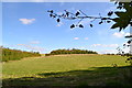 Field west of Wales Common