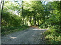 Bridleway to West Marden