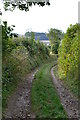 Sunken lane north of Winterslow