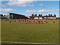 Colts rugby match