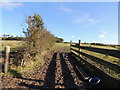 Farmland near Windmillhall