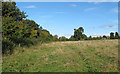 TL4101 : Field boundary near Warlies Gardens by Roger Jones