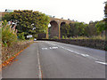 SK0581 : Railway Viaduct at Chapel Milton by David Dixon