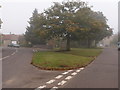 Triangular grass traffic island