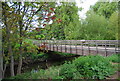 TQ3774 : Bridge over the River Ravensbourne, Ladywell Fields by N Chadwick