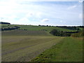 Footpath to Farthing Common