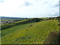 North Downs near Postling