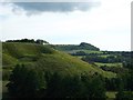 North Downs near Postling