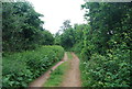 Footpath by Brook Hill