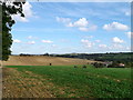 Fields near Court Lodge Farm, Newbarn