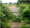 Stile to a level crossing, Penperlleni