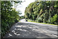 The A496 looking towards Barmouth near Bontddu