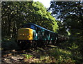 SO7777 : Severn Valley Railway near Northwood by Gareth James