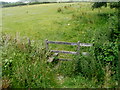 Stile into a field alongside Pen-y-wern Wood, Penperlleni 