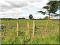 Killadroy Townland