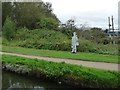 Dudley No 2 Canal towpath