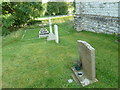 Holy Trinity, Warmwell: churchyard (b)