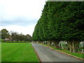 Lane to Hawkinge Crematorium