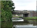 Fox and Goose Bridge from the west