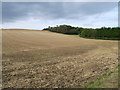 Field near Church Hill