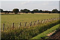 Back Street to Saltfleetby