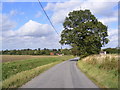 TM3384 : Road at St Peter South Elmham by Geographer