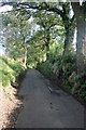 The road from Mill End Farm