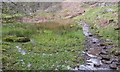 SO2825 : Wet Ground near Noyaddilwyd by Ivan Hall