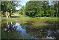 TQ0139 : Pond near New Barn by N Chadwick