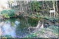 Pond near Brecon School