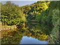 River Tame, Above The Weir