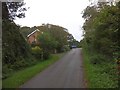 Lidyates Lane leading to crossroads at Charton Plantation