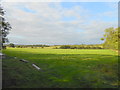 SP3851 : Pasture Field by Nigel Mykura
