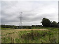 Electric Power Lines (2), Taunton Brook, Ashton-under-Lyne