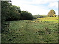 Pendle Way beside Admergill Water